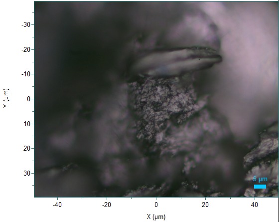 Optical micrograph of reduced graphene oxide surface used for Raman measurements